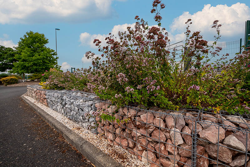 <p>Aménagement paysager, Joué-lès-Tours</p><p>Paysagiste, Joué-lès-Tours</p><p>Entretien jardin, Joué-lès-Tours</p>