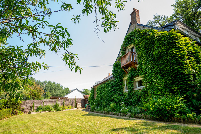 <p>Paysagiste, Chambray-lès-Tours</p><p>Aménagement paysager, Chambray-lès-Tours</p><p>Création jardin, Chambray-lès-Tours</p>